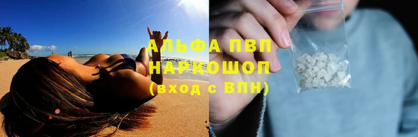 гашик Нефтекумск