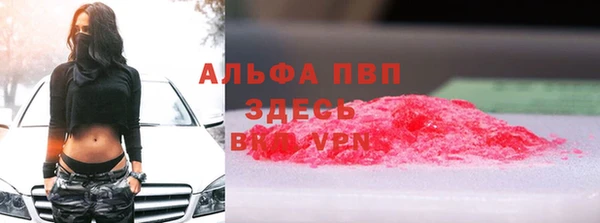 гашик Нефтекумск