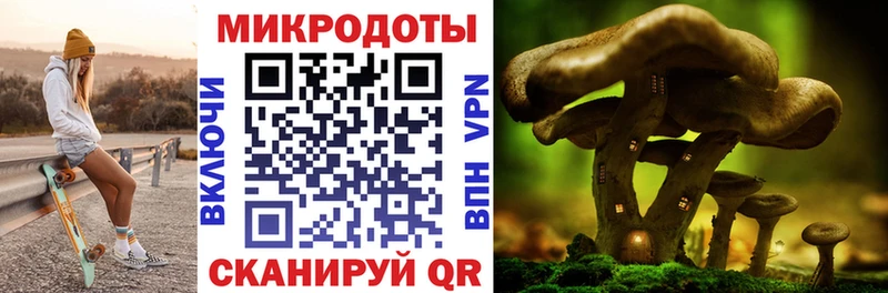 Галлюциногенные грибы Magic Shrooms  Купить  Солнечногорск 